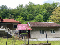 Casă si teren cu suprafață de 6523mp Criscior, Hunedoara