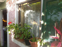 Casa zona Piata Progresul