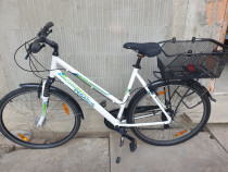 Vand bicicleta Pegasus