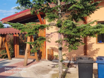 TEISORI (JUD. GIURGIU) - DE VZ CASA OASPETI + ANEXE