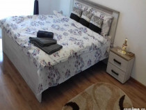 2 camere in zona Buziasului