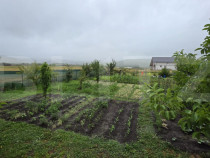 Teren 8 arii, intravilan, zona Jelna