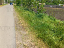 Teren Stanesti - Judetul Giurgiu, intravilan, drum asfaltat,
