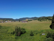 Teren in Bucovina! La Munte! De ! 0727817187