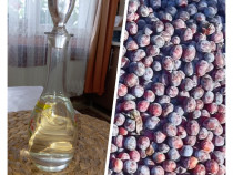 Palinca de PRUNE