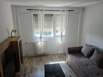 Apartament 2 Camere - Piata Victoriei