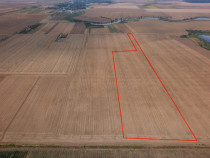 FRUMUSANI - PASAREA, TEREN 14420 MP, FRONT 40 M!