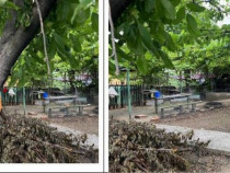 Casa si teren Mogosesti, cota parte 3/4, ID: R2669471