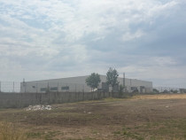 Teren extravilan 5000 mp, zona Pielesti