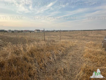 TEREN 2500MP BALACEANCA