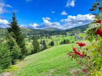 RECO Teren intravilan in Arieseni