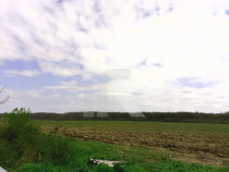 Com GRUIU_Reprezentare exclusiva_TEREN EXTRAVILAN LANGA PAD