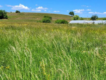 Teren Intravilan Podul Olt