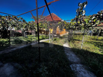 Doua casa de vanzare, teren intravilan 1773 mp, zona Stoloja