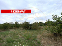 Teren intravilan 1.765 mp in Poiana Lacului, AG