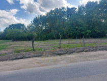 Teren intravilan 1843 mp - Cerbu/Albota/Arges - cu proiect d