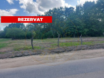 Teren intravilan 1843 mp - Cerbu/Albota/Arges - cu proiect d