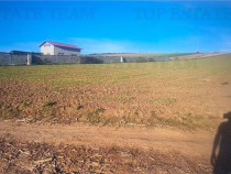 Teren extravilan de 5.000 mp, arabil, in imediata apropiere