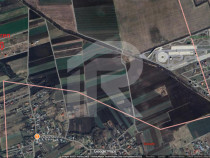 Refugiu la marginea padurii &mdash; 2822 mp de liniste in Cocani