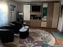 Valea Borcutului, casa 23 ari teren