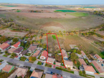 De vânzare casă cu teren de 3036 mp în Borș