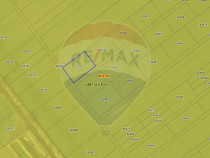 Teren intravilan 725 mp, Buftea/Ilfov