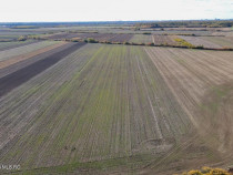 Bucovat - Lot Intravilan 2.27 Ha, PUZ inceput, Rezidentia...