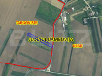 Teren extravilan, 4.994 mp, Targoviste