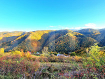 TEREN CU PANORAMA, strada principala, 9959mp, Marisel