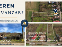 Teren intravilan de v&acirc;nzare &ndash; Dipșa