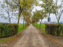 Teren intravilan de | Cartier rezidențial deosebit |