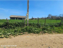 Teren Bradesti, ID: R2805453