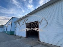 Hala pentru depozitare sau productie usoara