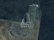 Teren 27000 mp, ideal centru seniori,liziera padurii, Che...