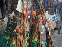 Pomi Fructiferi Ambalați