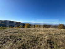 Teren extravilan 54.722 mp in Târsa