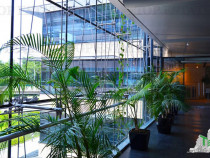 Spatiu de Birouri de 543 mp in Zona Baneasa