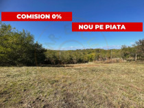 Teren generos de vânzare în Babana Arges