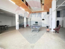 Afacere la cheie cu randament de p&acirc;nă la 10% zona Teiul...