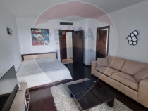 Garsoniera De Inchiriat Asmita Tineretului