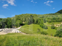 11,5 ha teren extravilan pe Trans Apuseana – cu izvor și