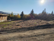 Teren intravilan - Aleea Fagetului - 680 mp + 87 mp drum ...