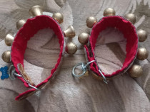 Zgarda de piele pentru caini