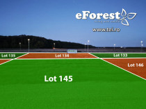 Loturi teren 720mp de vanzare, Crevedia, cel mai mic pret din zona!