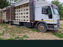 Camion apicol 15.8t 131 familii de albine