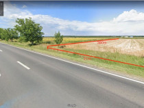 Teren Nucet 8018m Deschidere 21m la DN71 Targoviste