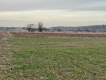 Teren extravilan Gulia Dambovita