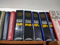 Micul dictionar academic