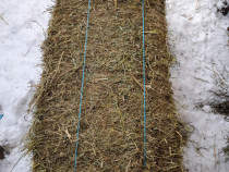 Baloți de lucernă coasa a doua