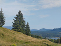 Teren Colibita - 2 hectare - acces direct din drumul 173 D